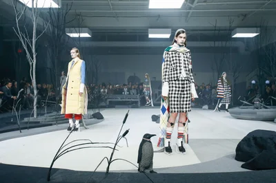 Look 237